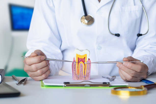 Best Emergency Dental Extractions in Mulberry, OH